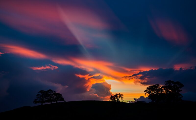 Sunset over Silhouetted Trees — Purple