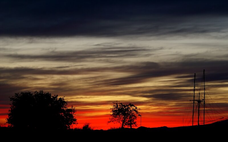 Sunset over Silhouetted Trees — Red, Dramatic, Photograph, Ship Masts