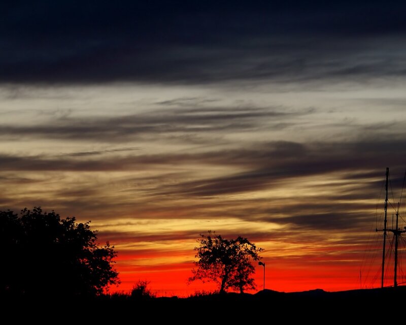 Sunset over Silhouetted Trees — Red, Dramatic, Photograph, Sky, Mast