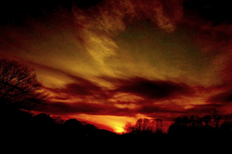 Sunset over Silhouetted Trees — Red, Dramatic, Photograph, Sky