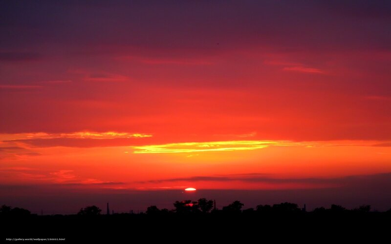 Sunset over Silhouetted Trees — Red, Dramatic, Photograph, Sun