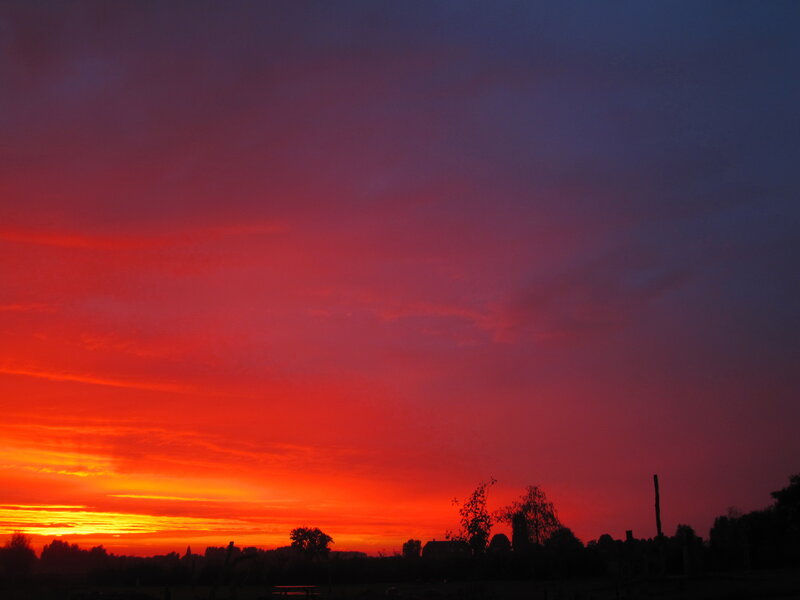 Sunset over Silhouetted Trees — Red, Dramatic, Photograph