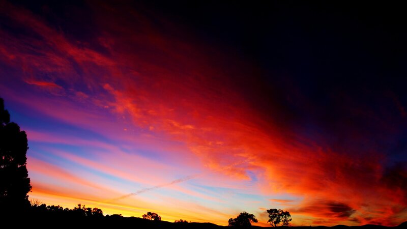 Sunset over Silhouetted Trees — Red, Dramatic