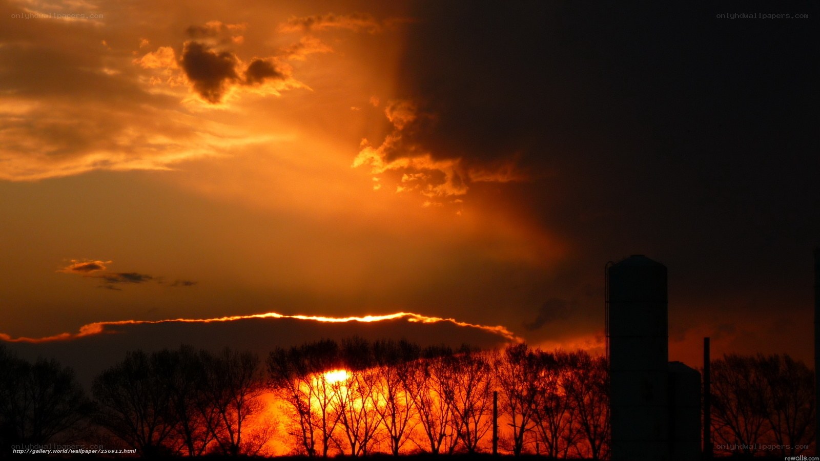 Sunset over silo and trees