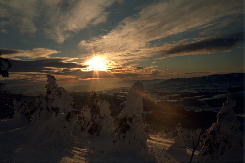 Sunset over snow-covered trees