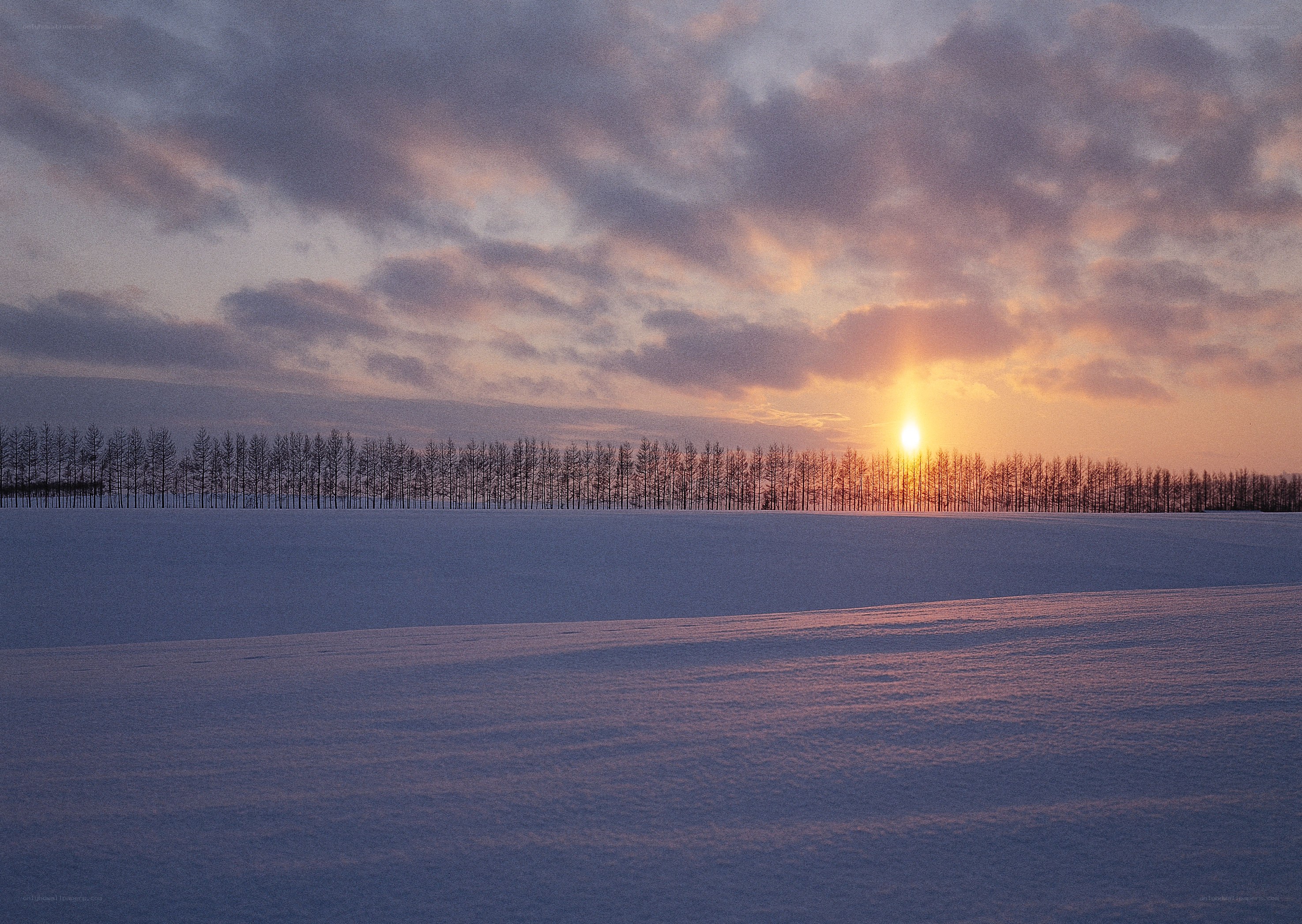Sunset over snowy field
