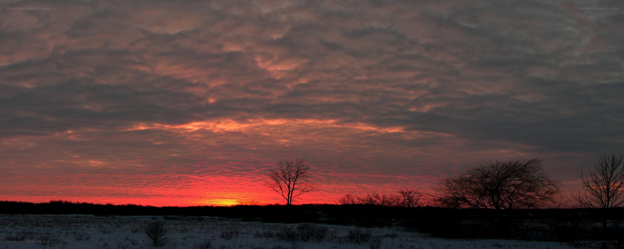 sunset over snowy field