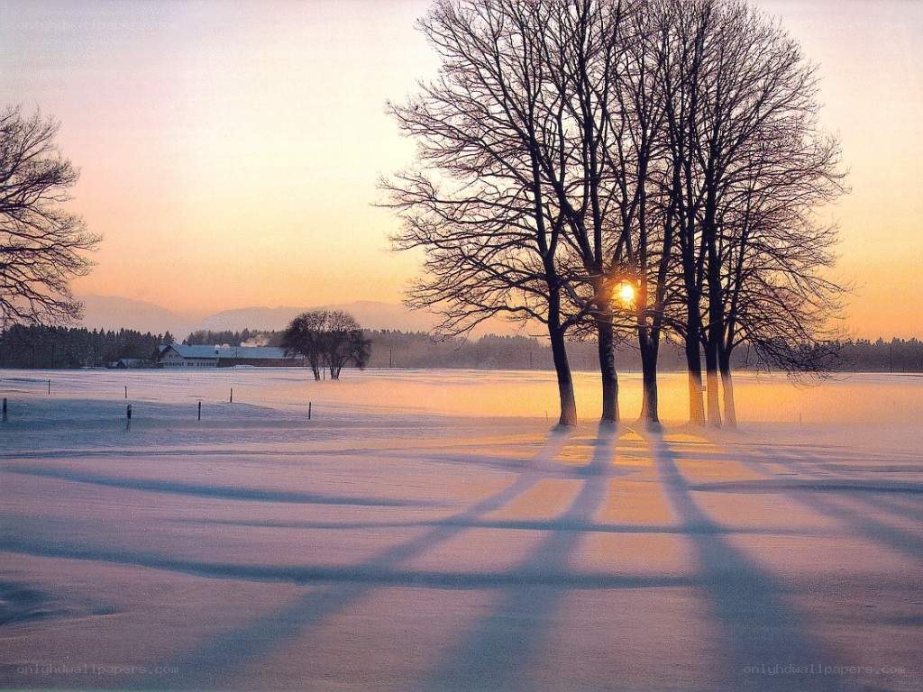 Sunset over snowy field