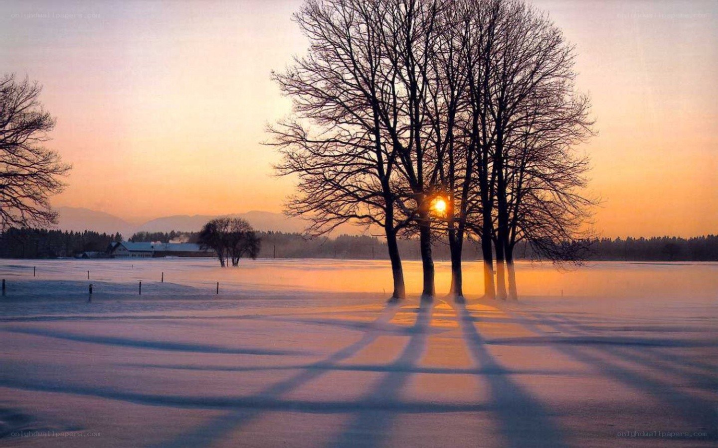 Sunset over snowy field