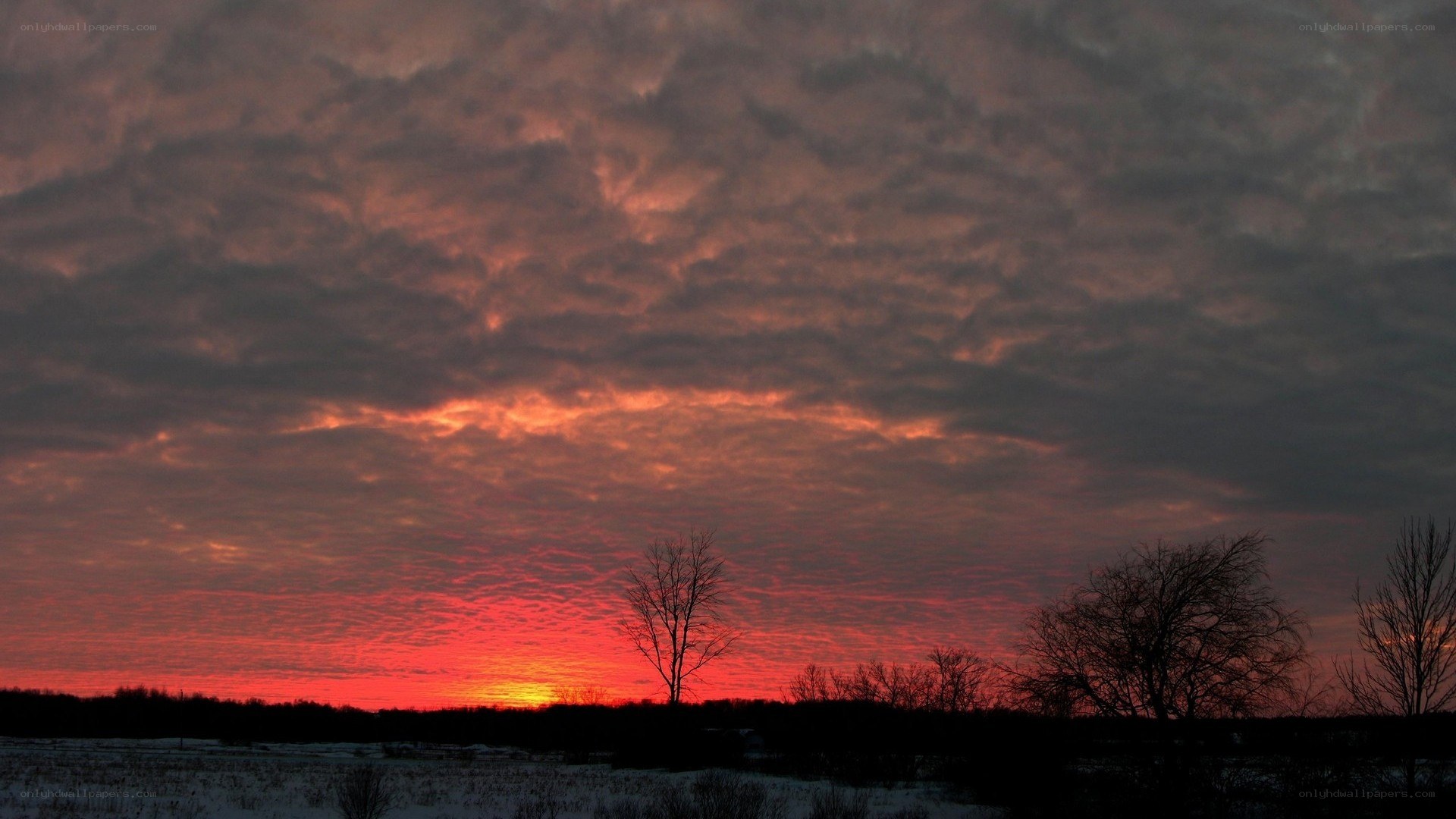 sunset over snowy field