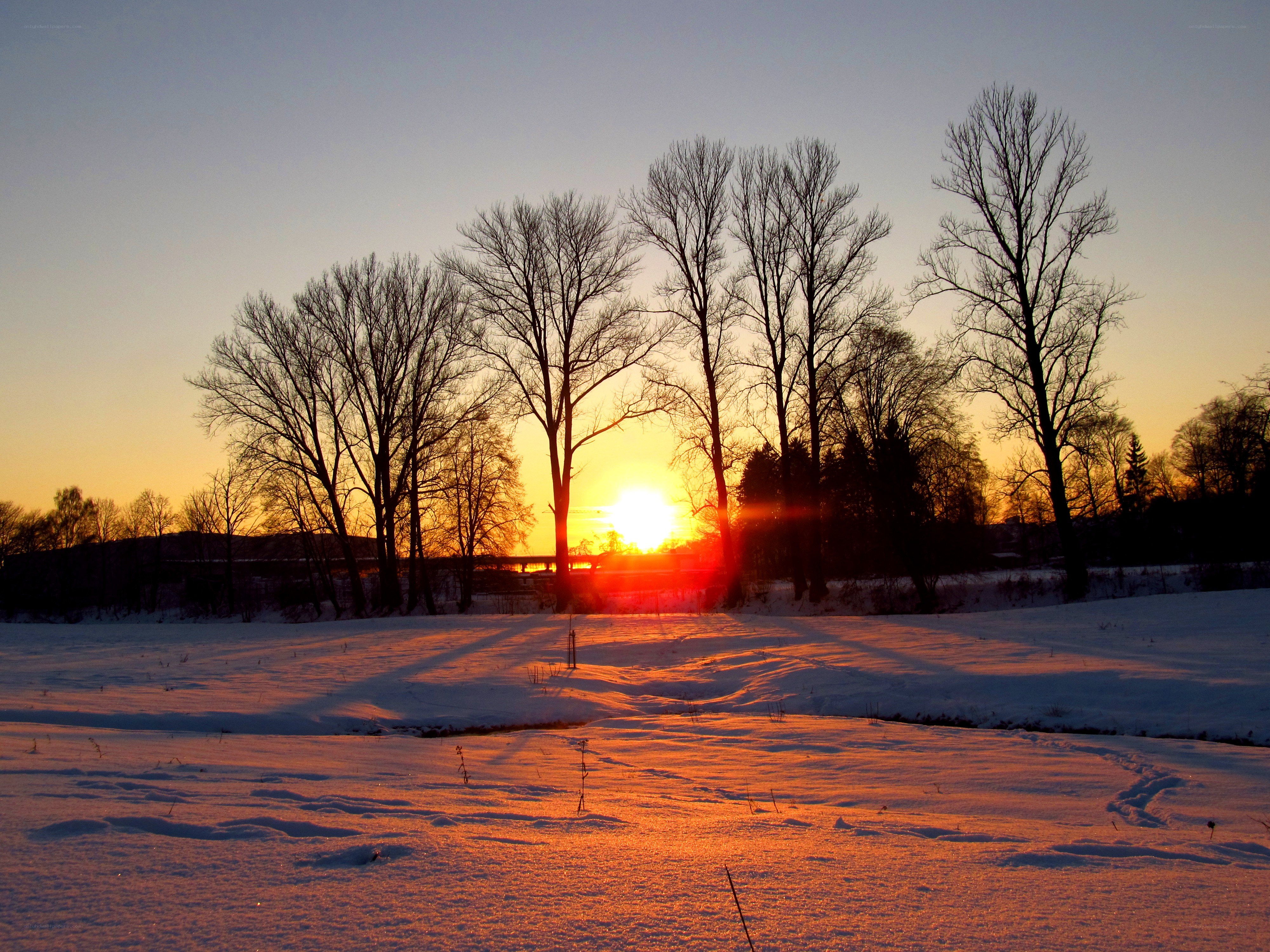Sunset over snowy field