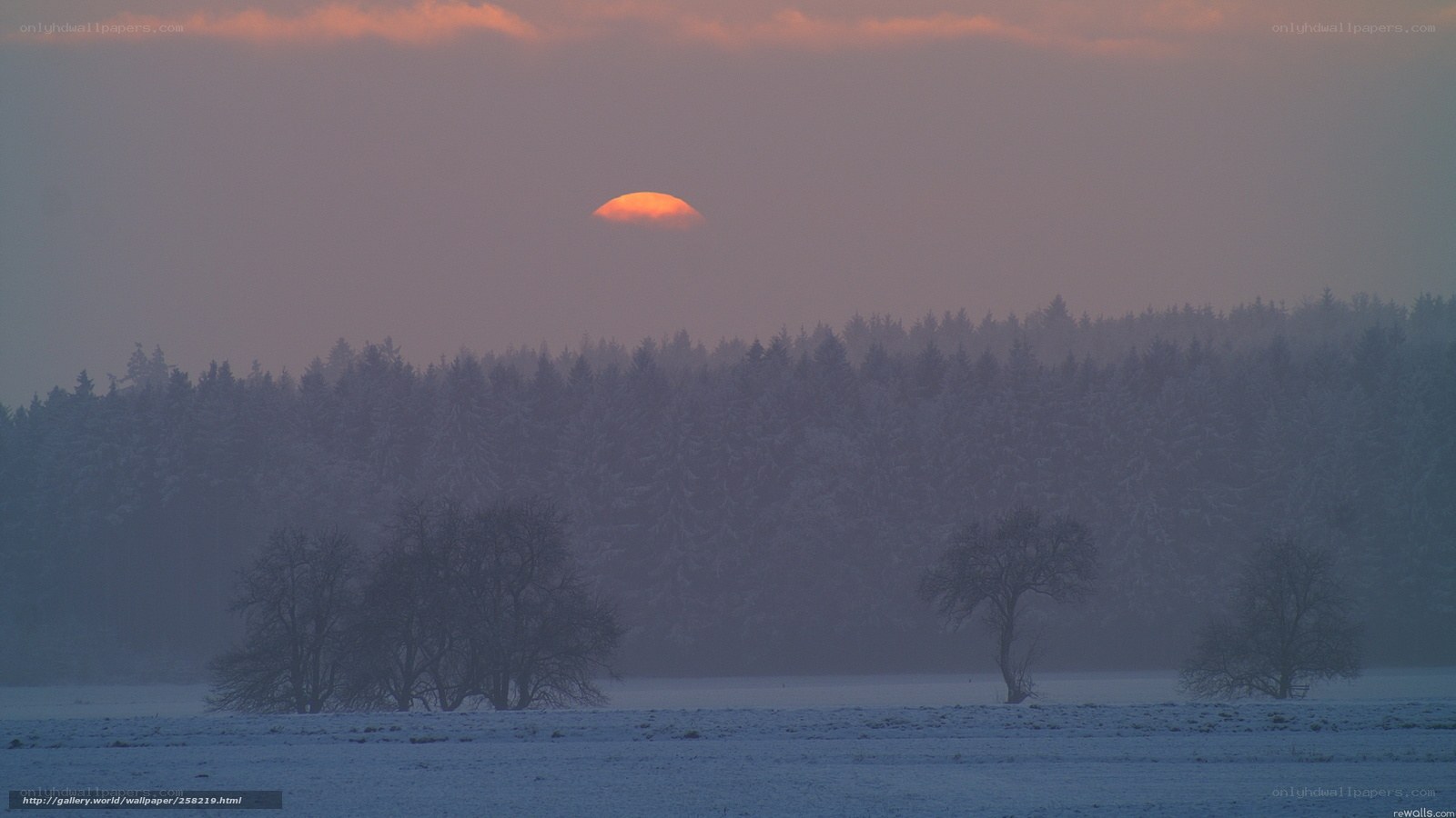 Sunset over snowy field