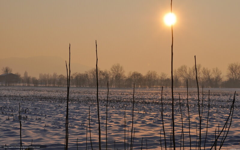 Sunset over snowy field
