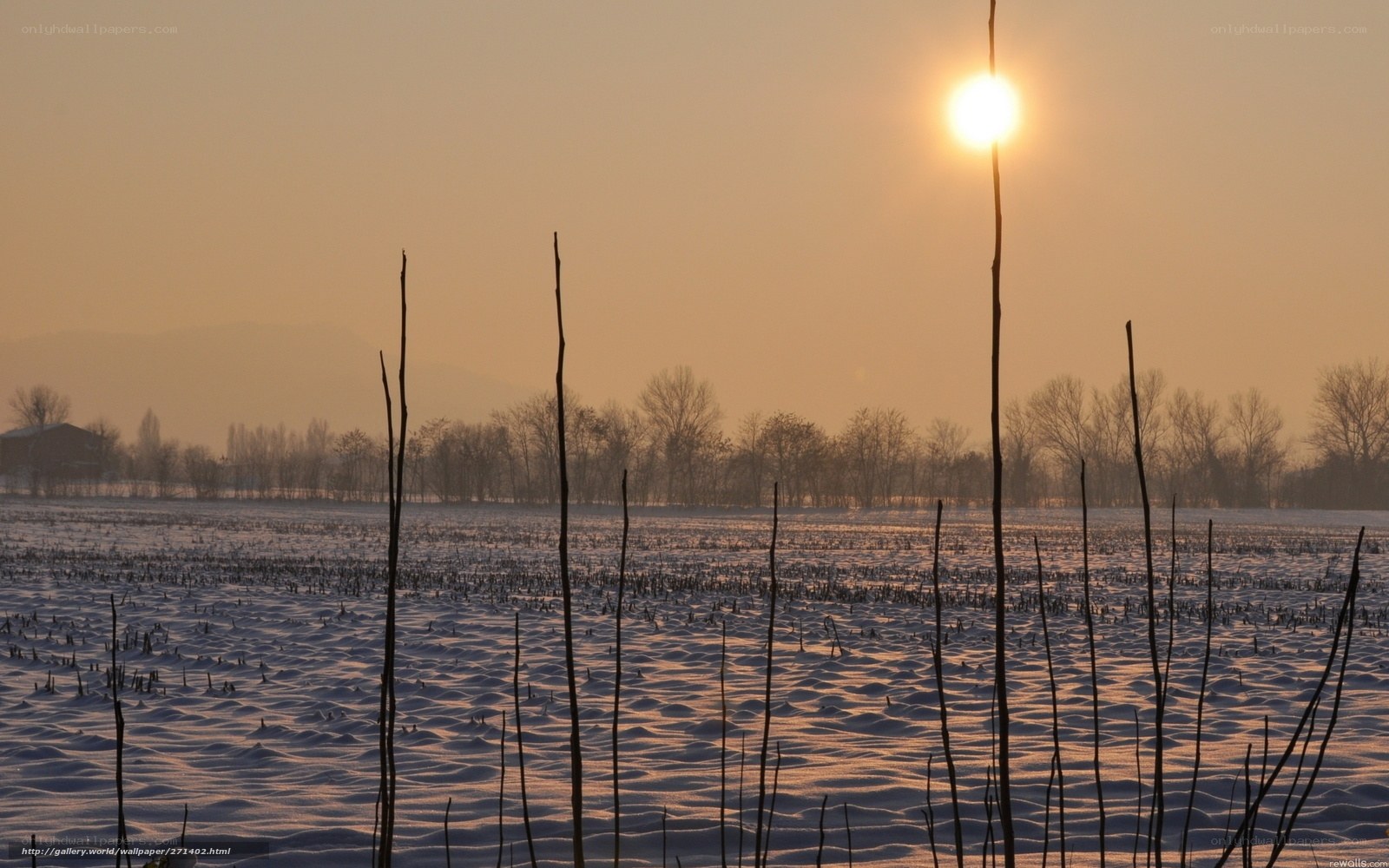 Sunset over snowy field