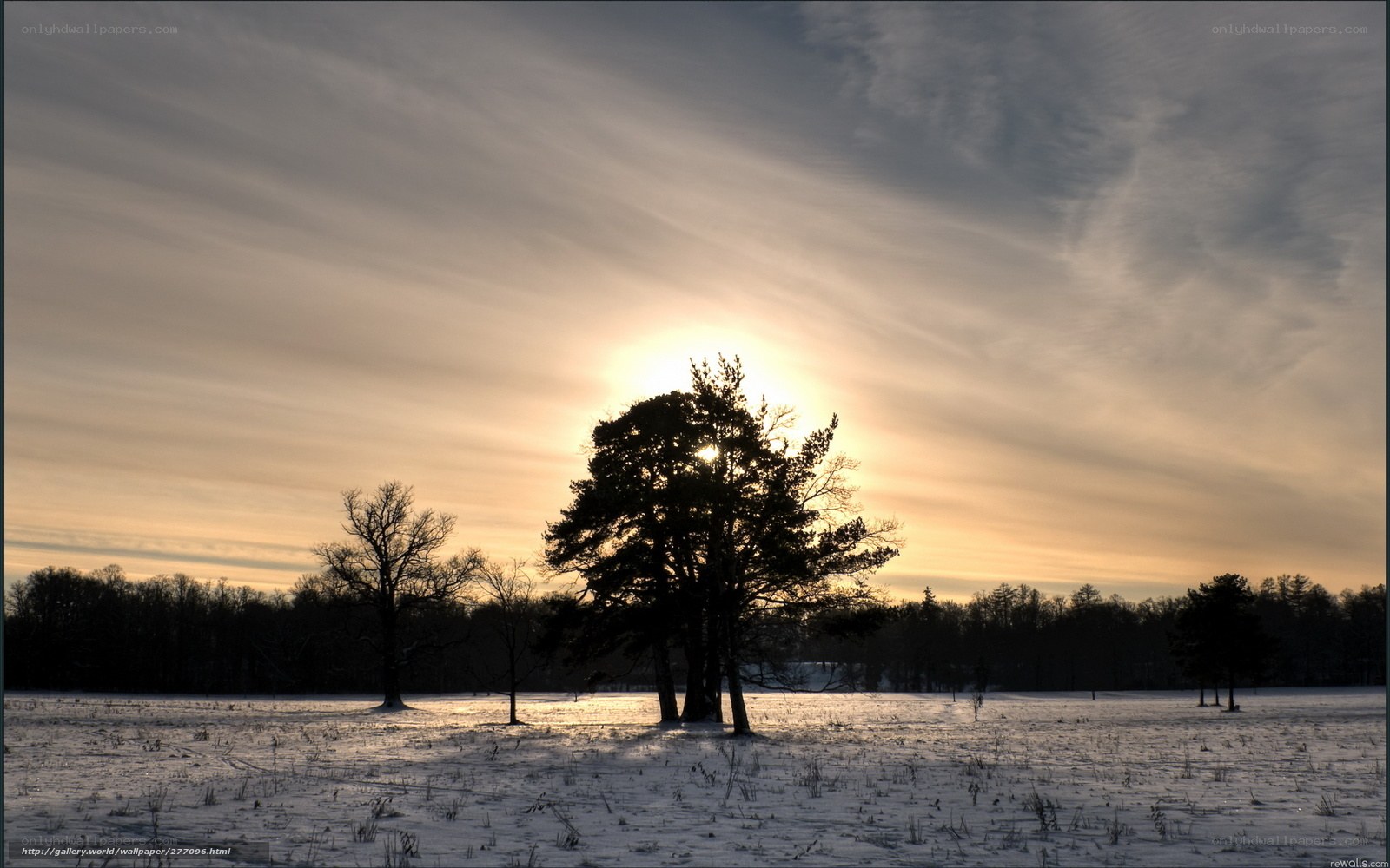 Sunset over snowy field