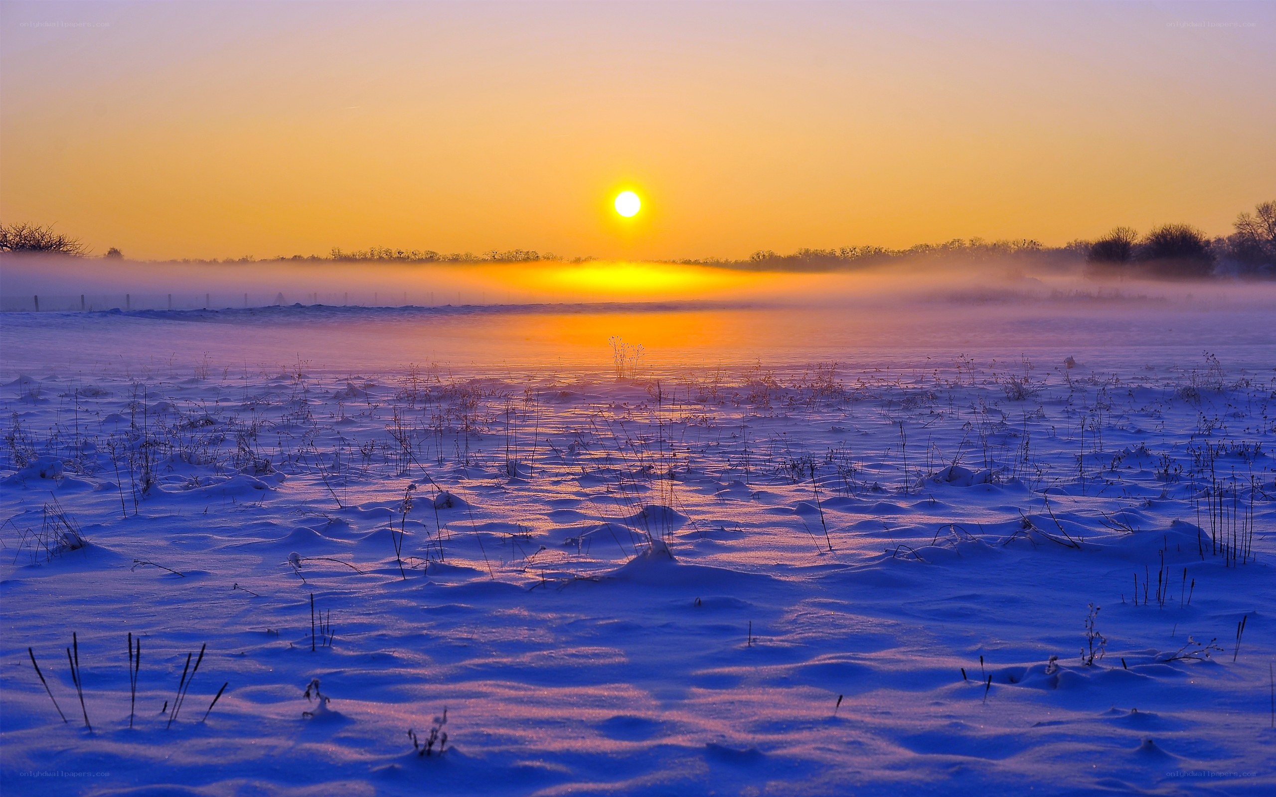 Sunset over snowy field