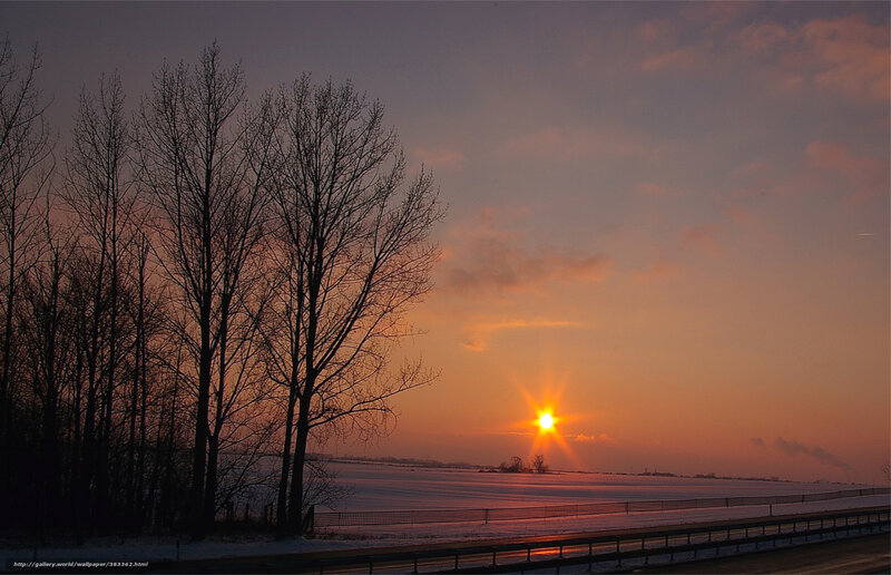 Sunset over Snowy Field — Orange, Serene, Photograph, Trees
