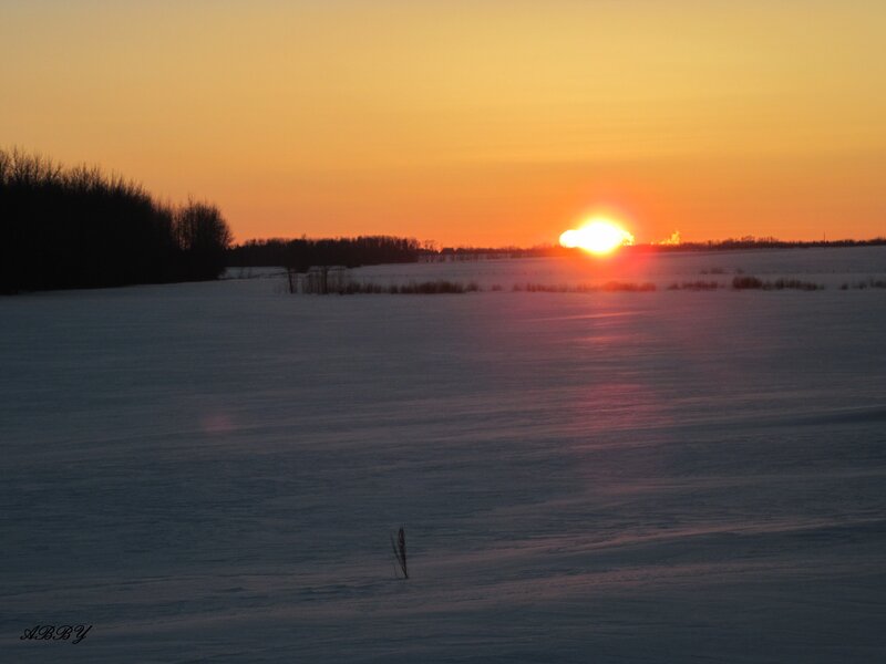Sunset over Snowy Field — Orange, Serene, Winter