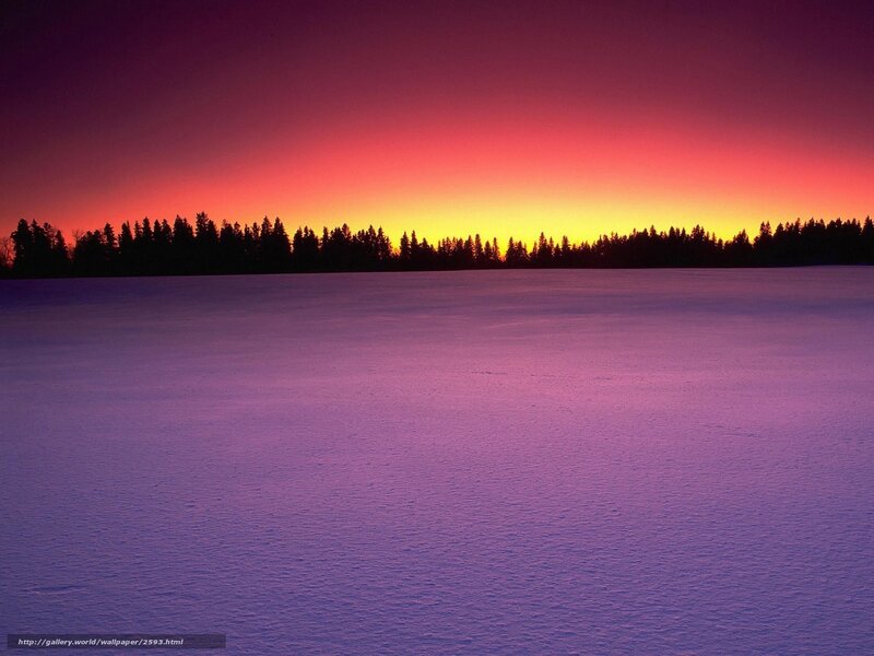 sunset over snowy field