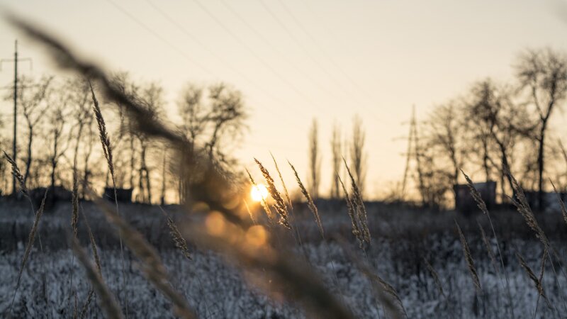 Sunset over Snowy Field — Yellow