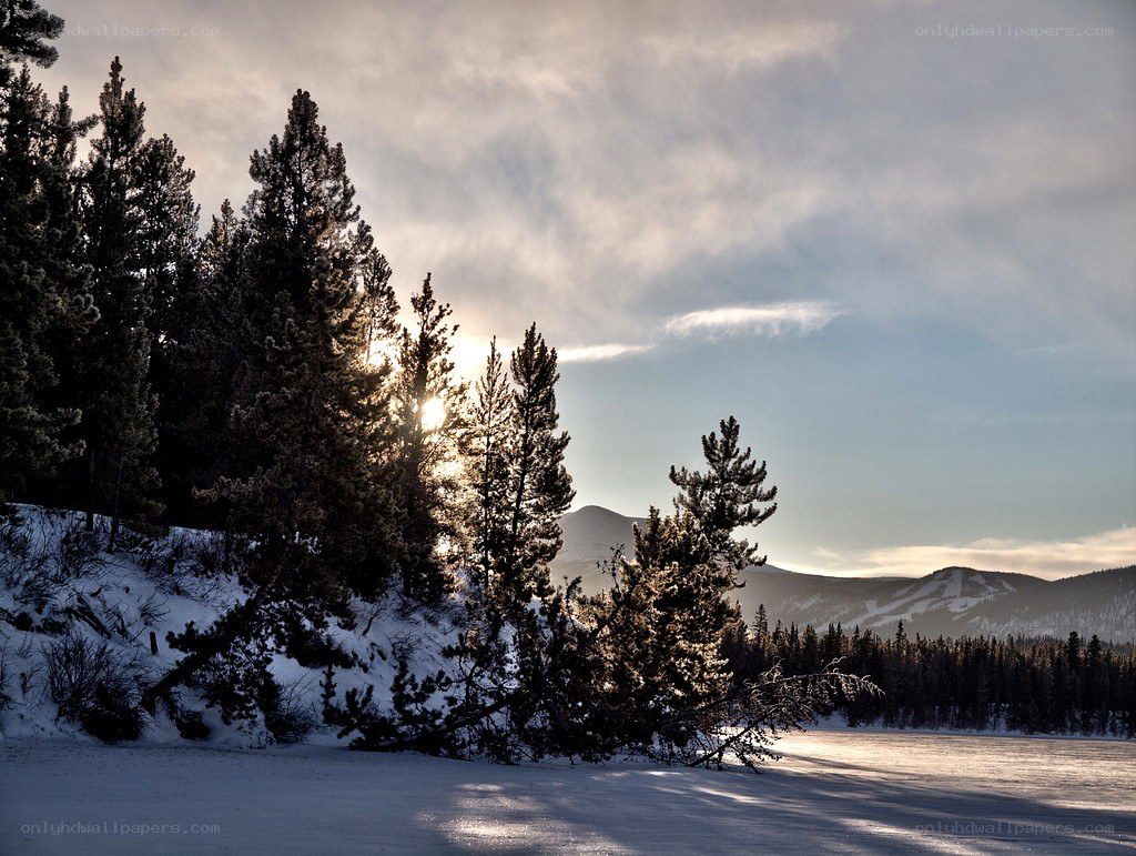 Sunset over snowy forest