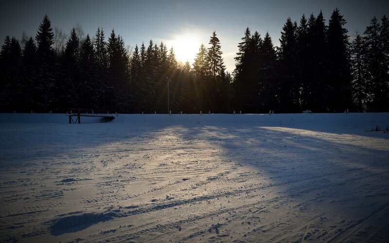 Sunset over snowy forest