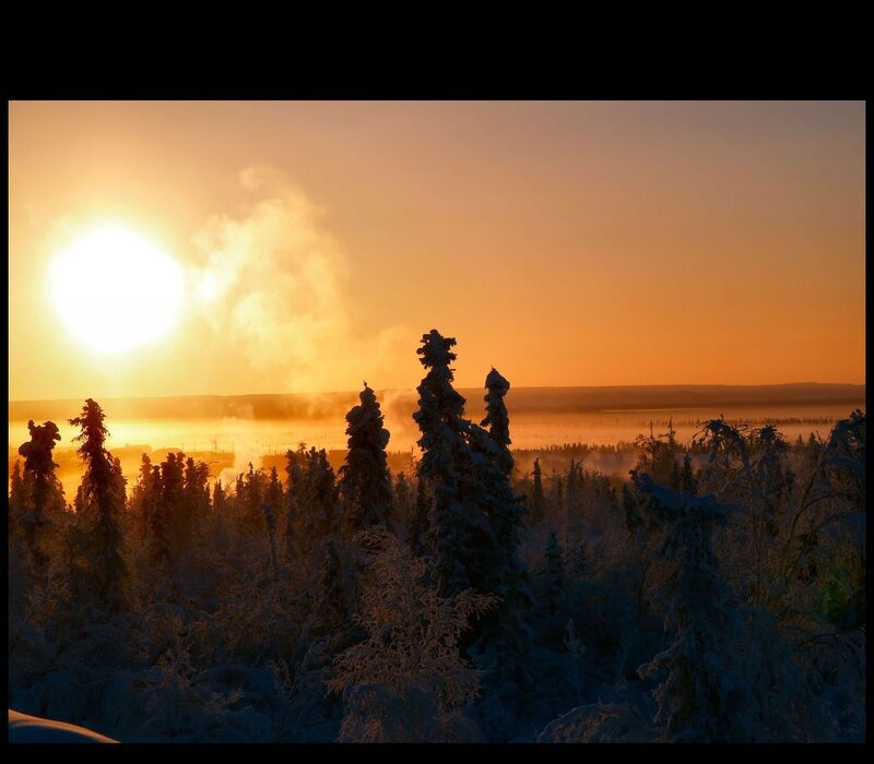 Sunset over snowy forest