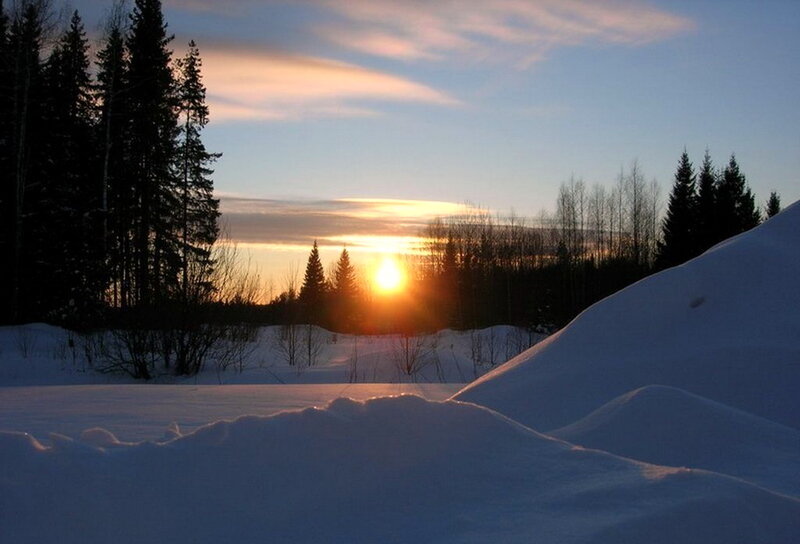 Sunset over Snowy Forest — Blue, Serene