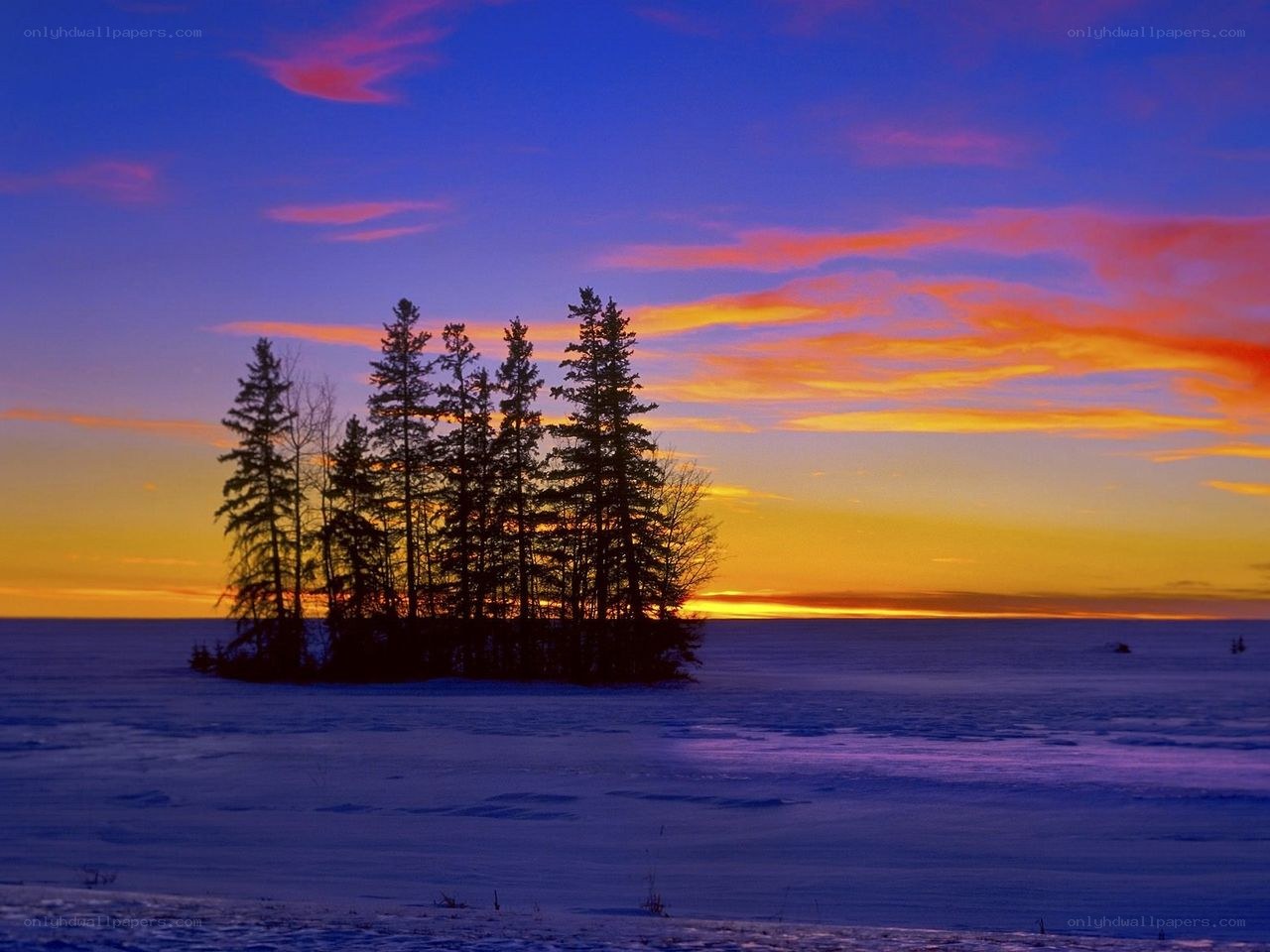 Sunset over snowy island