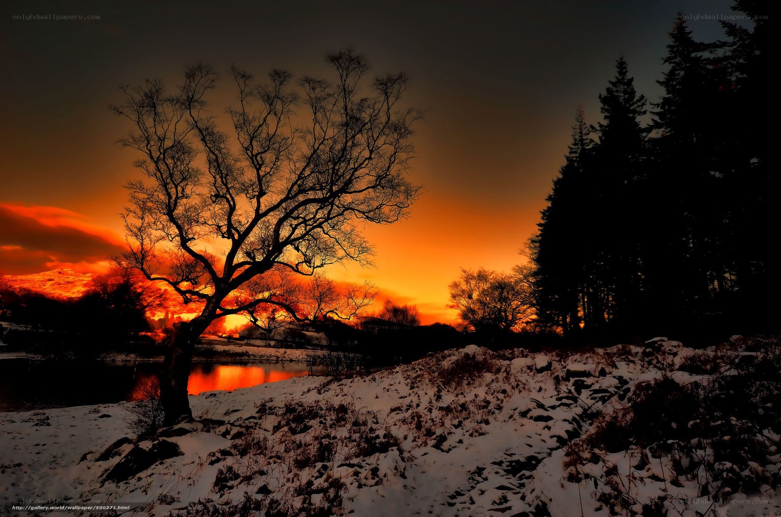 sunset over snowy landscape