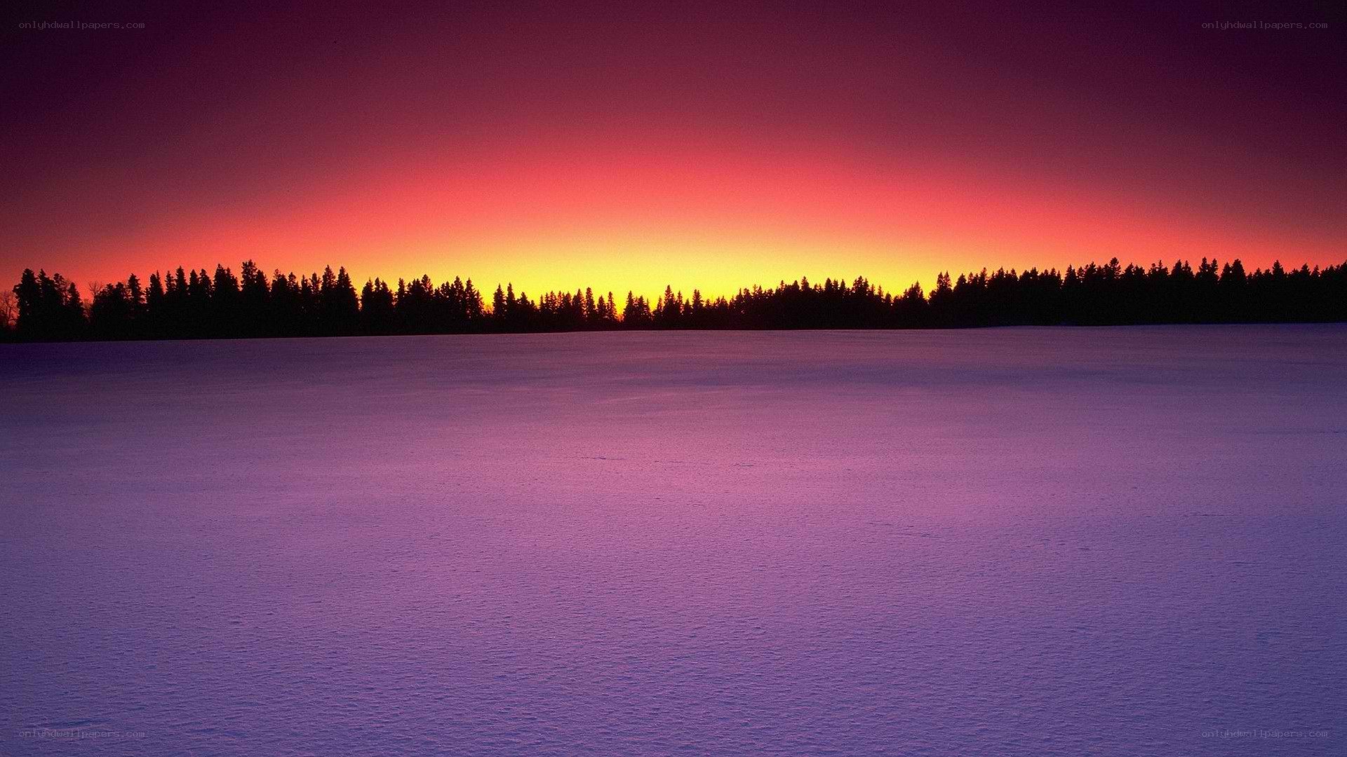 sunset over snowy landscape