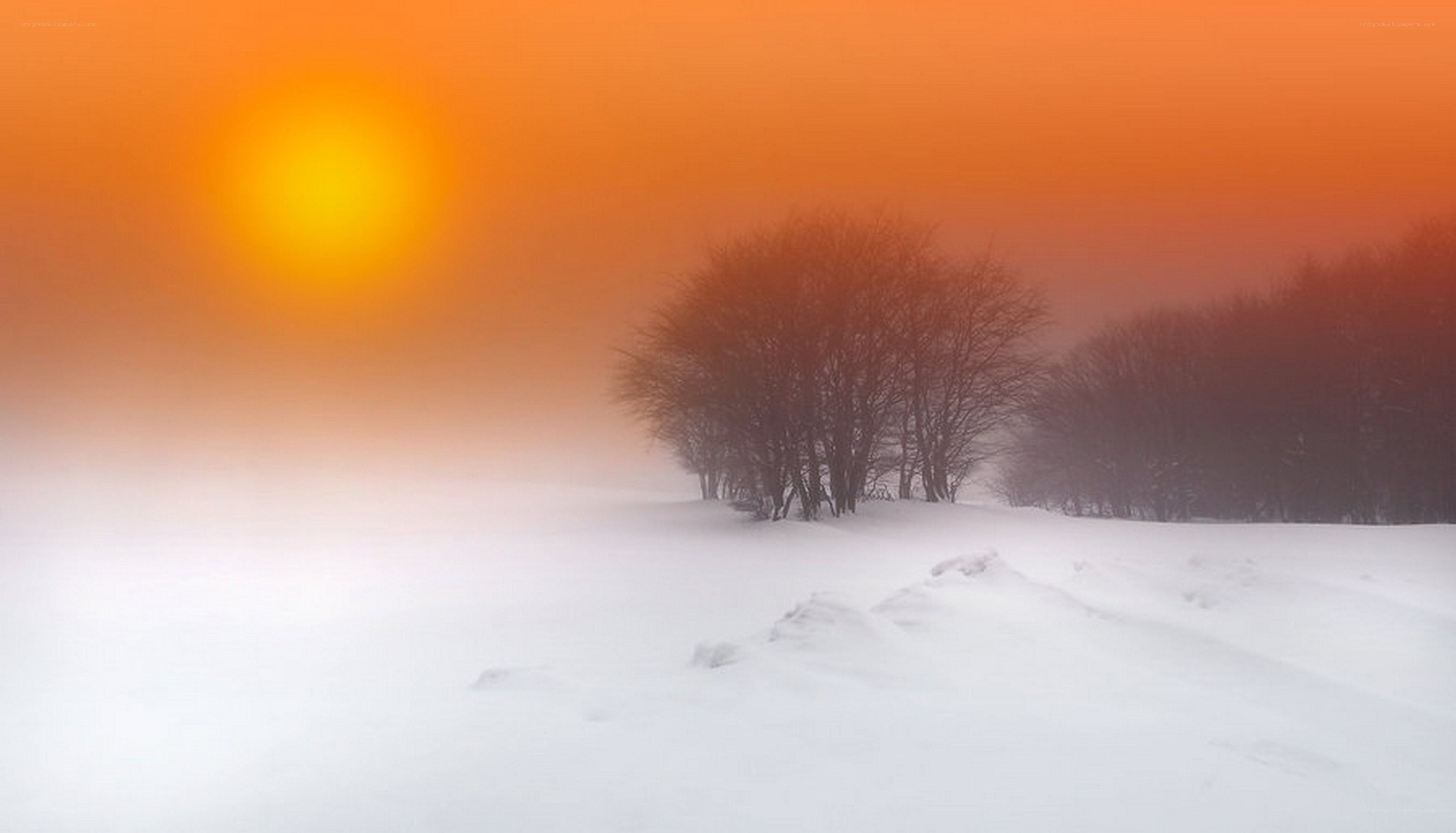 Sunset over snowy landscape