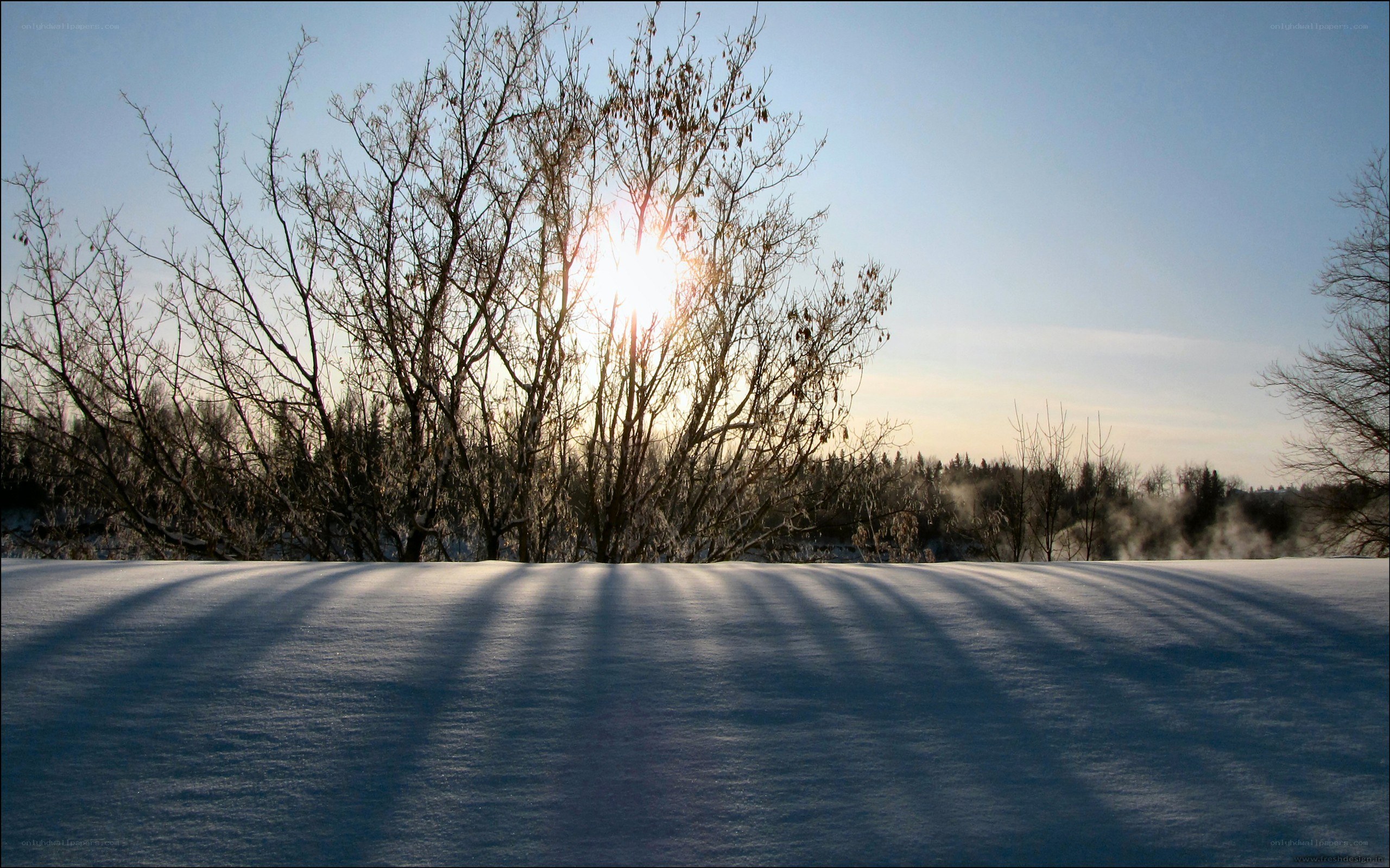 Sunset over snowy landscape