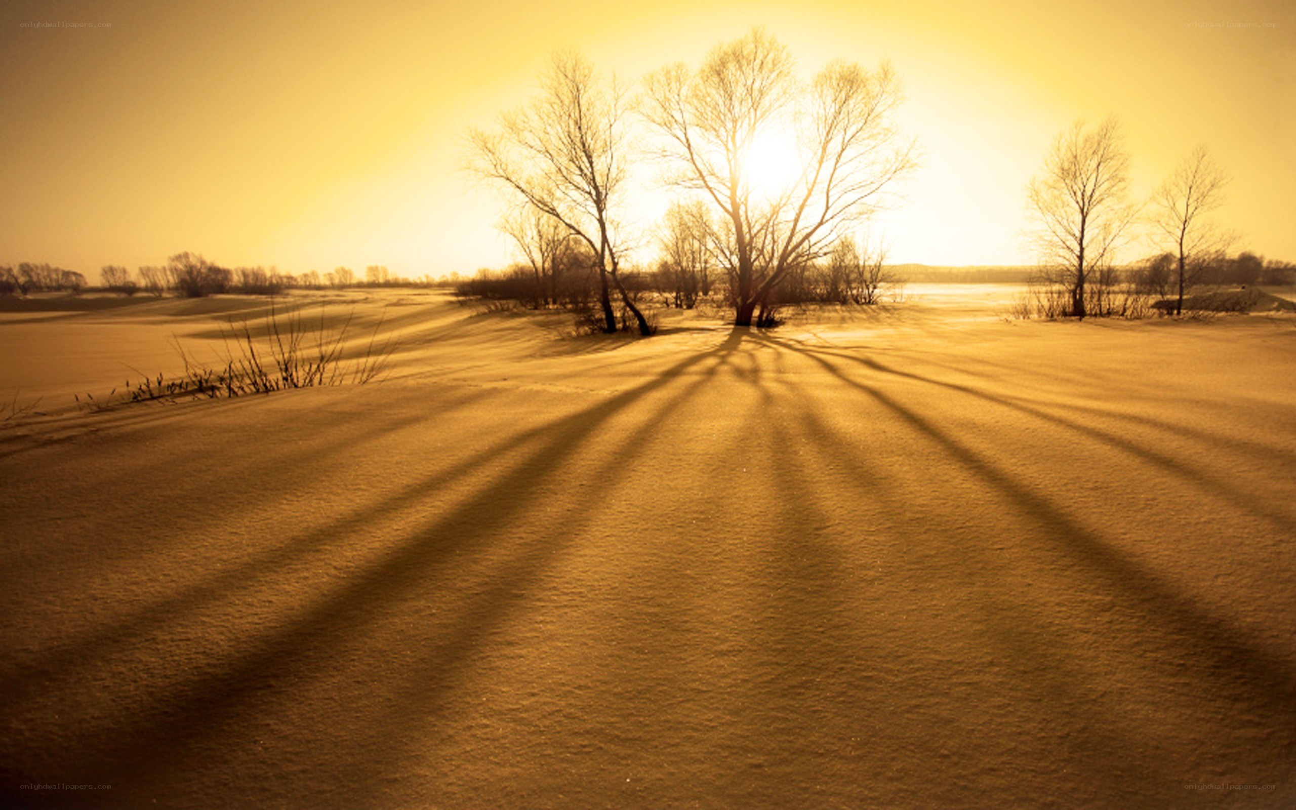 Sunset over snowy landscape