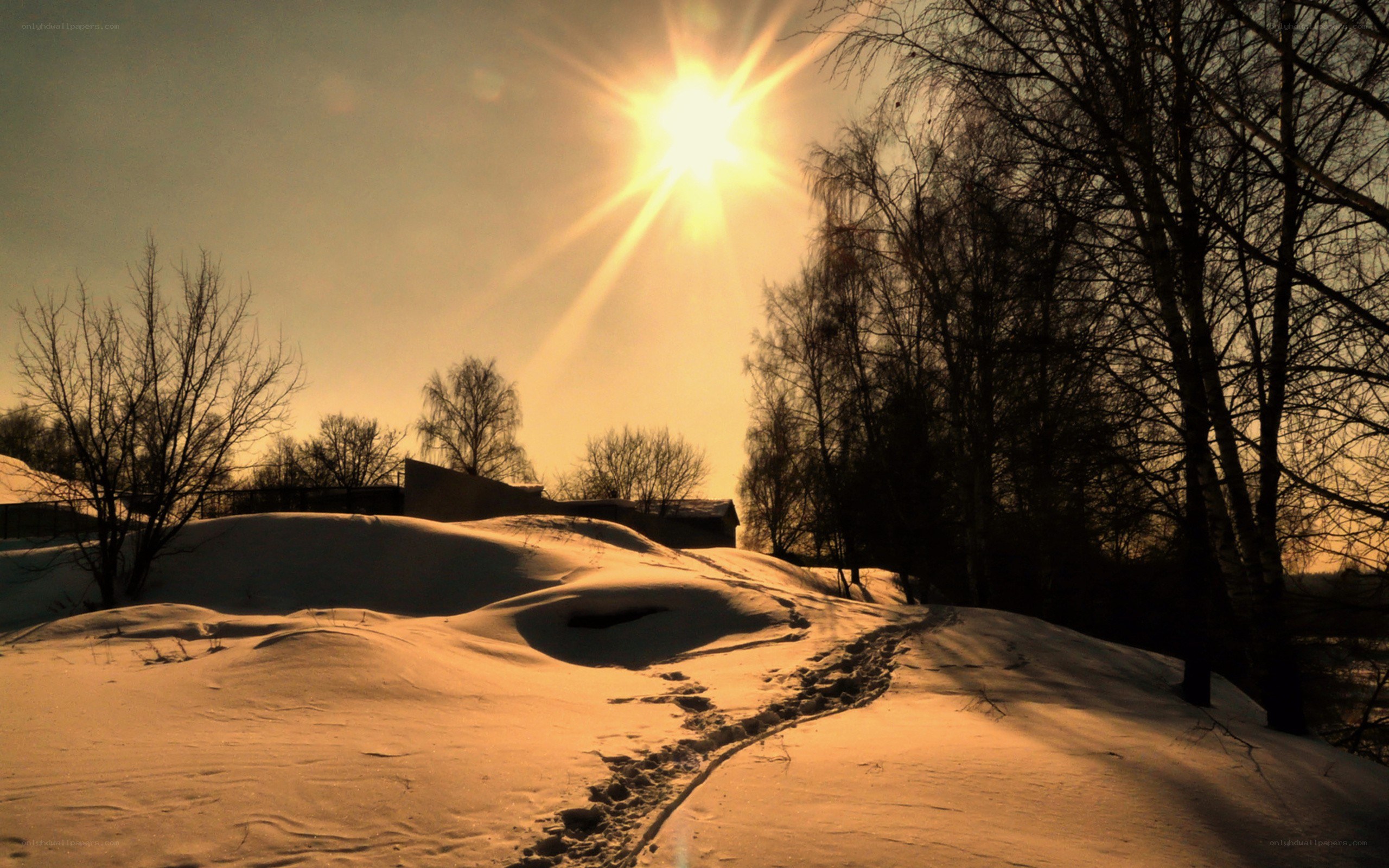 Sunset over snowy landscape