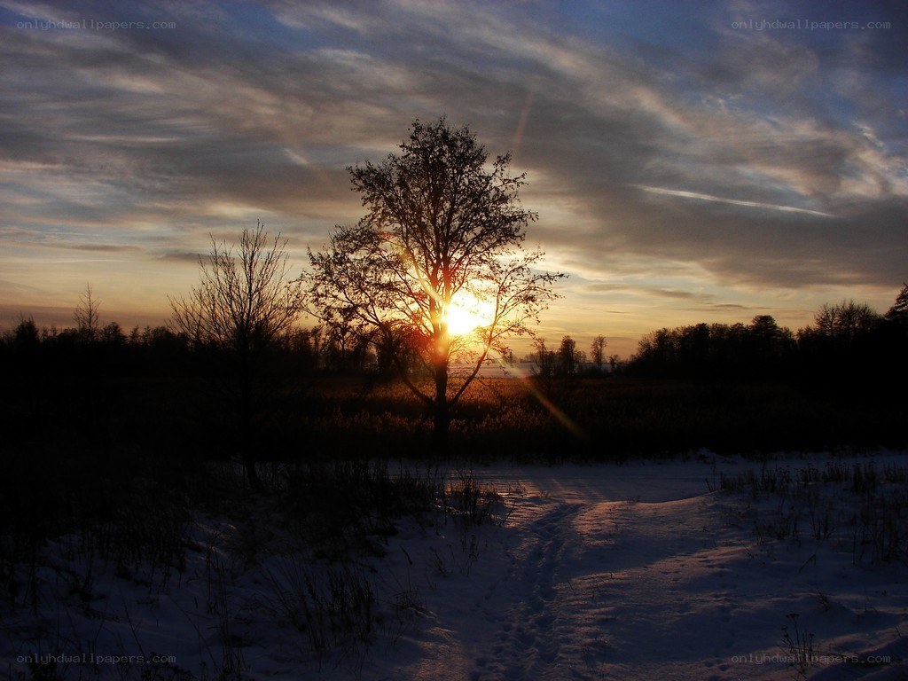 Sunset over snowy landscape