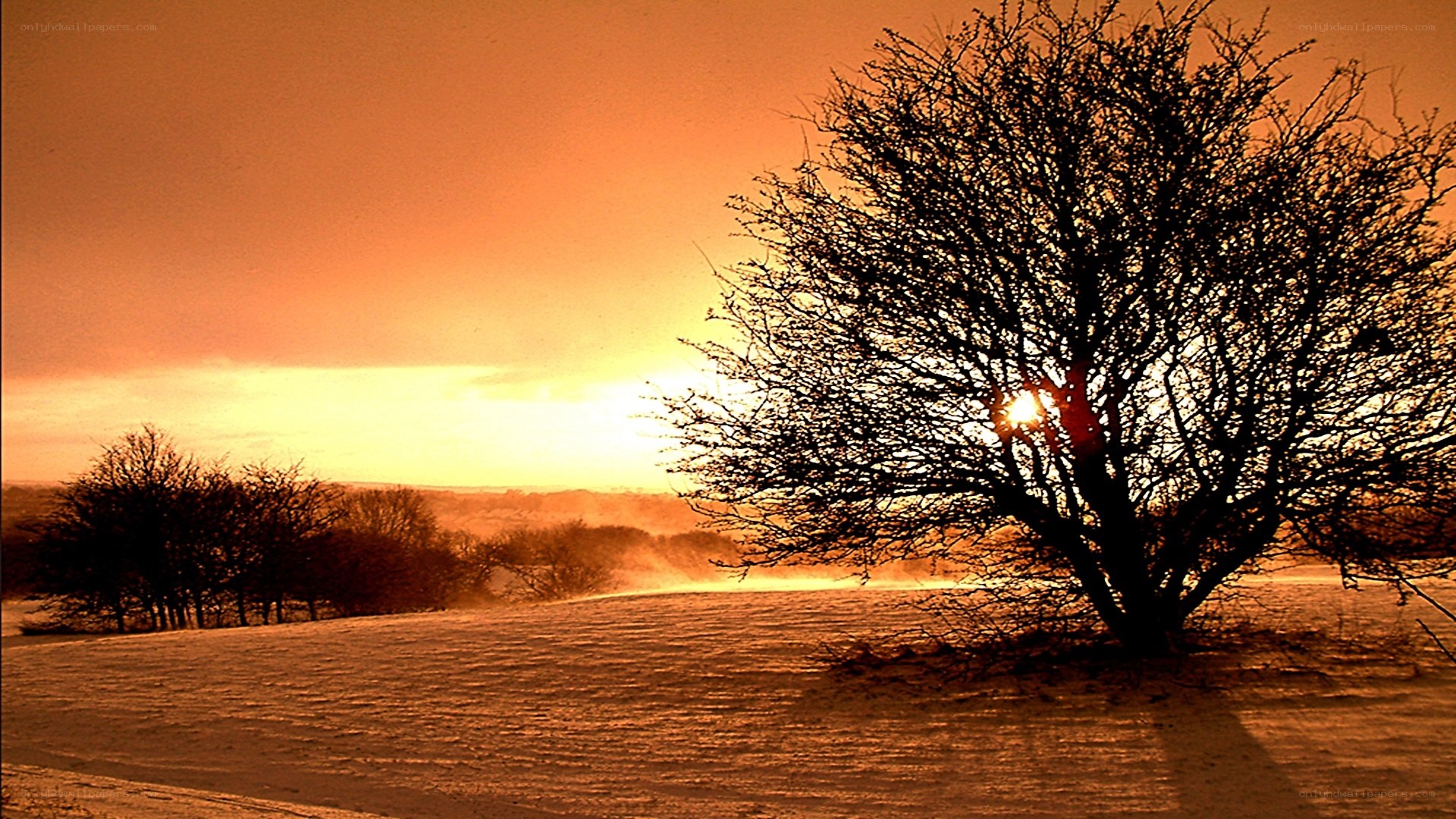 sunset over snowy landscape