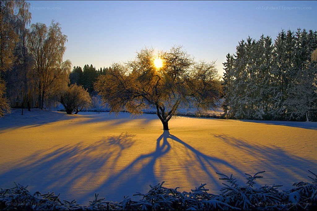 Sunset over snowy landscape