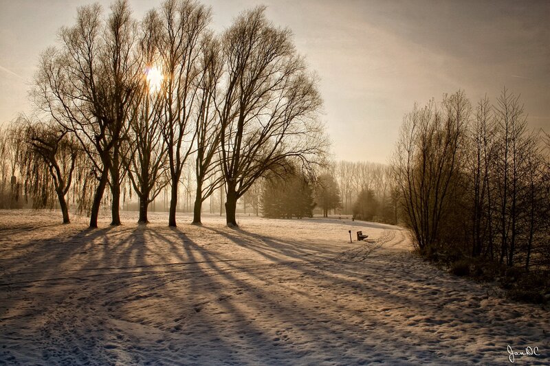 Sunset over snowy park