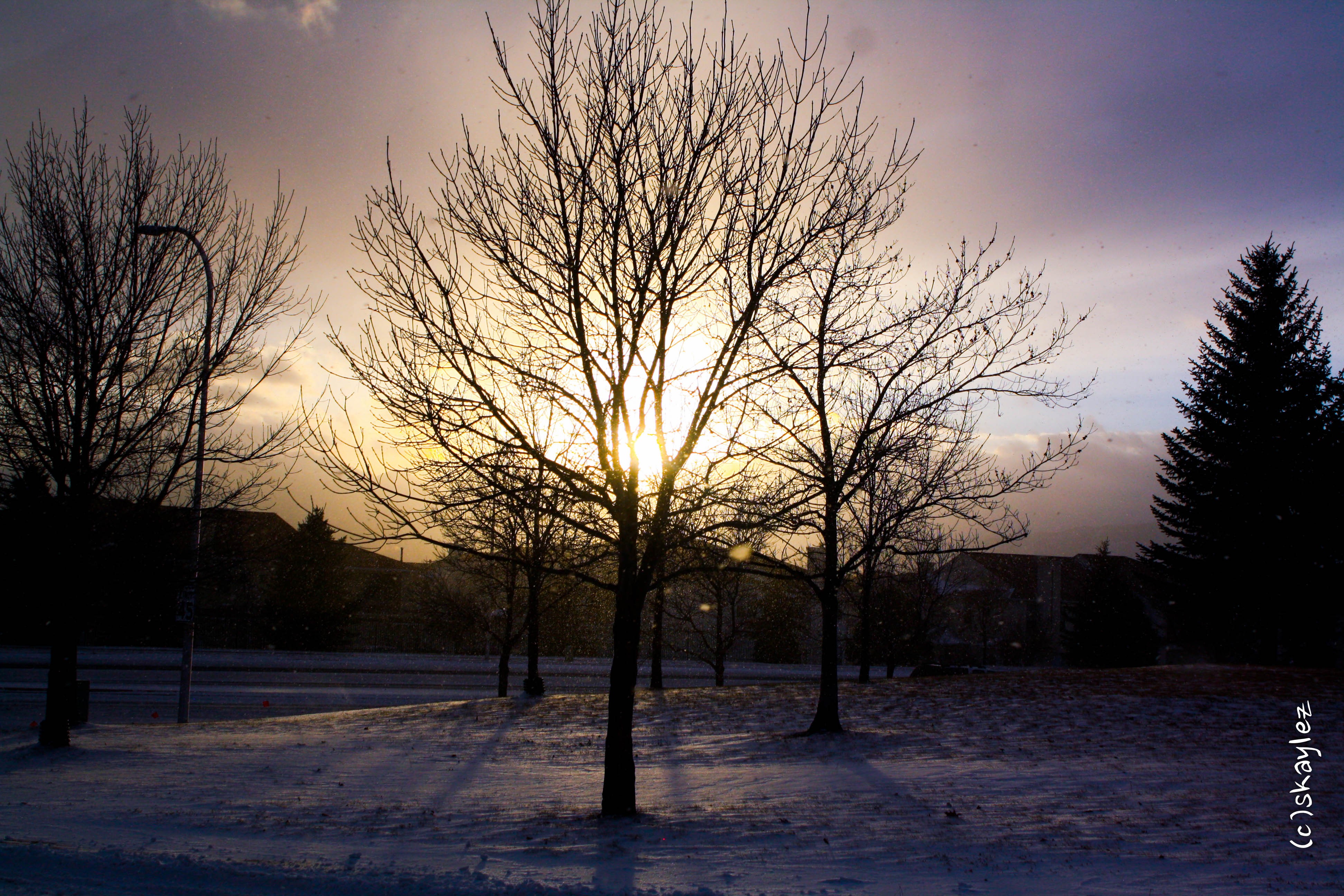 Sunset over snowy park