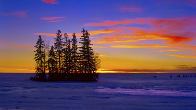 sunset over snowy trees