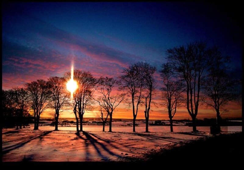 Sunset over snowy trees