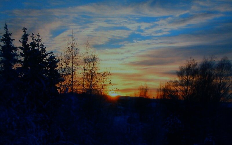 Sunset over Snowy Trees — Blue, Serene