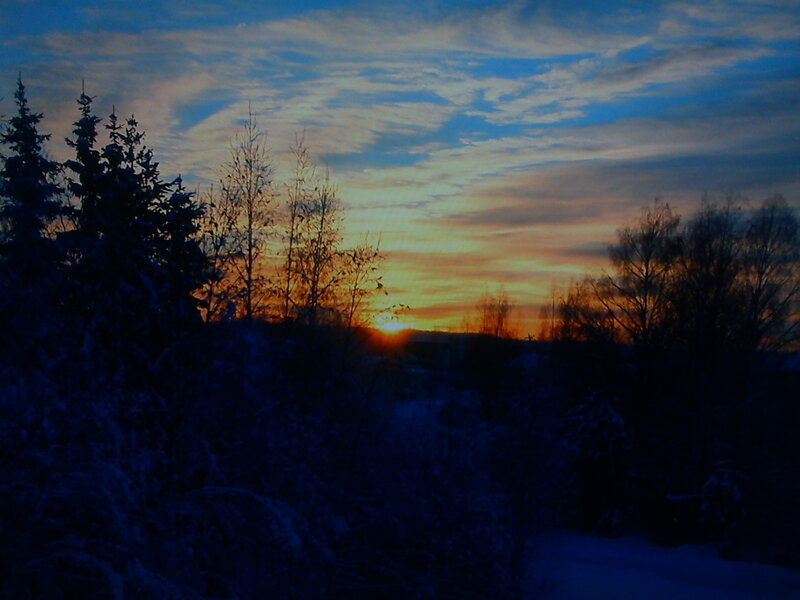 Sunset over Snowy Trees — Blue