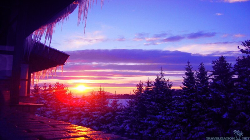 Sunset over Snowy Trees — Purple, Serene
