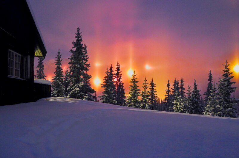 Sunset over Snowy Trees — Purple