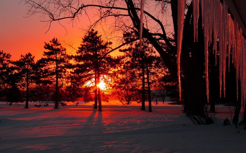 Sunset over Snowy Trees — Red, Dramatic