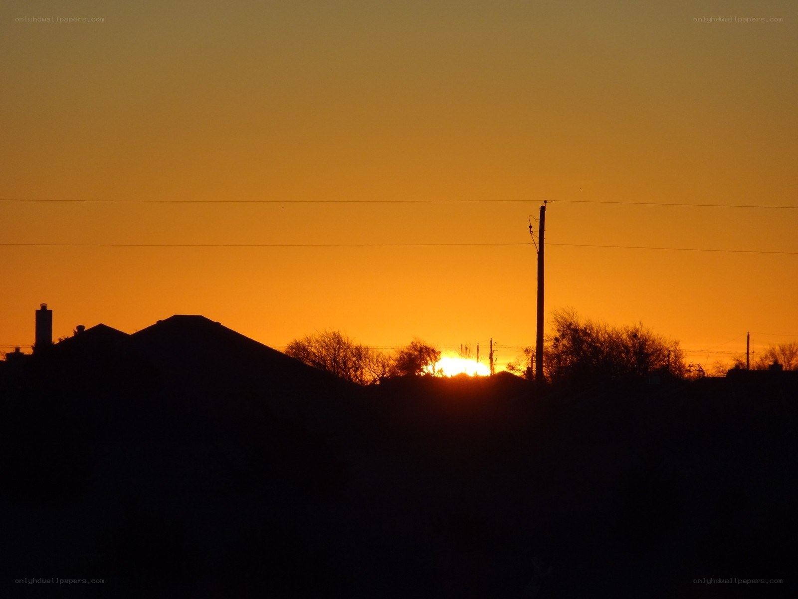 sunset over suburban homes