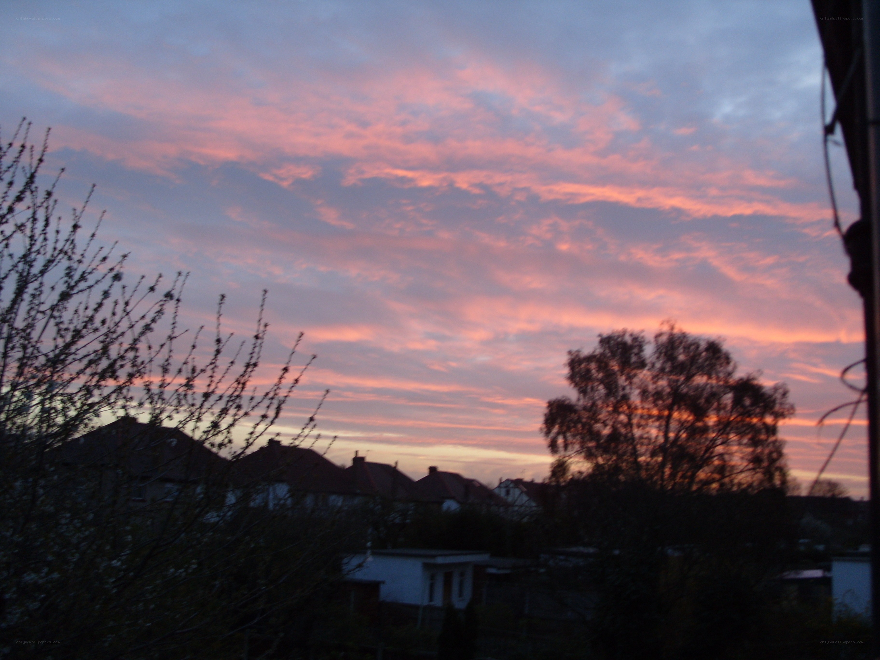 sunset over suburban homes