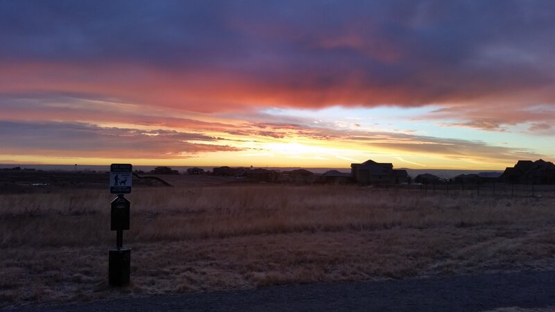 Sunset over Suburban Homes — Purple